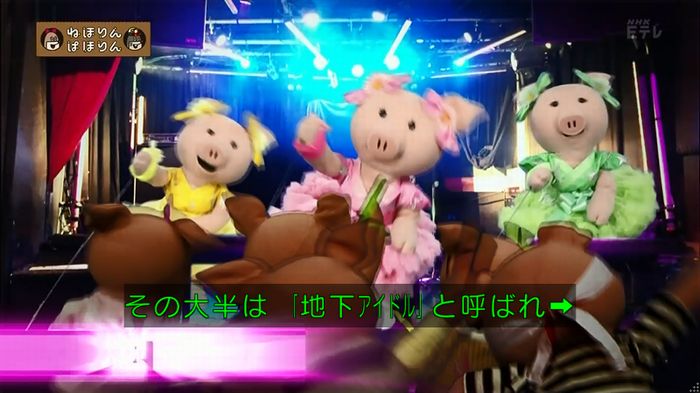 ねほりん 地下アイドル回のキャプ4