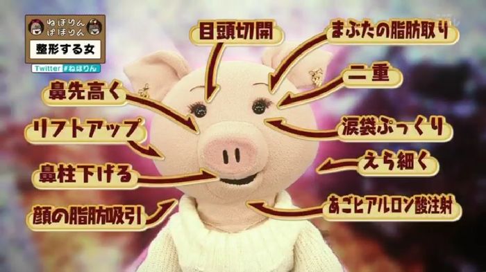 ねほりんぱほりんのキャプ66