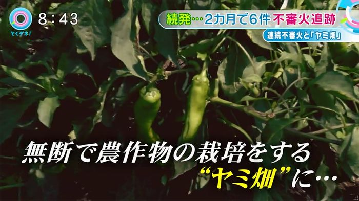 とくダネ!のキャプ22