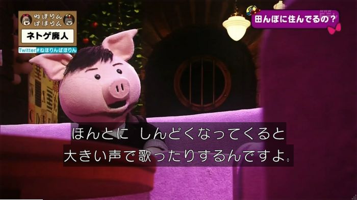 ねほりんネトゲ廃人のキャプ129