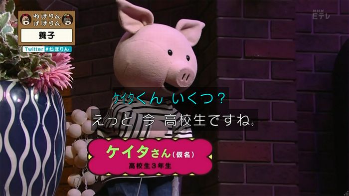 ねほりん 養子回のキャプ20