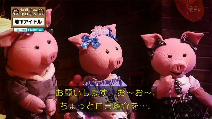 ねほりん 地下アイドル回のキャプ36