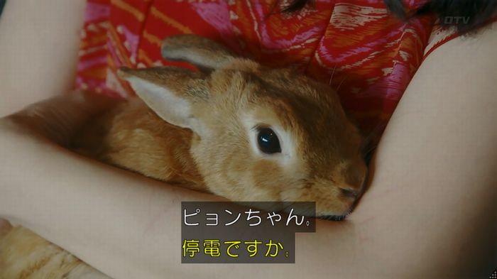 いきもの係 3話のキャプ377