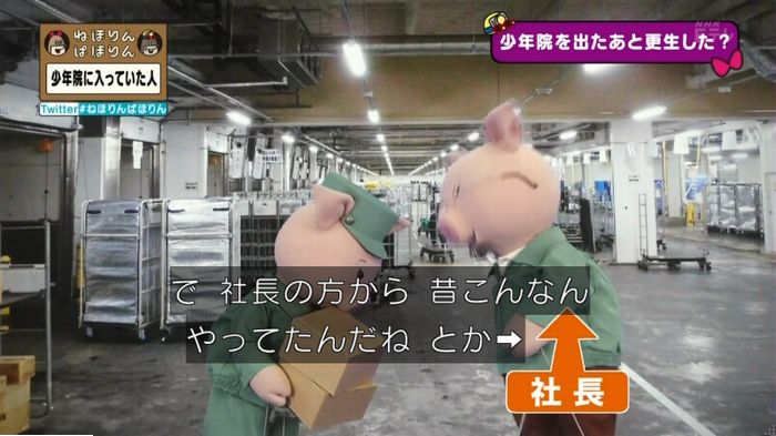 ねほりんぱほりんのキャプ222