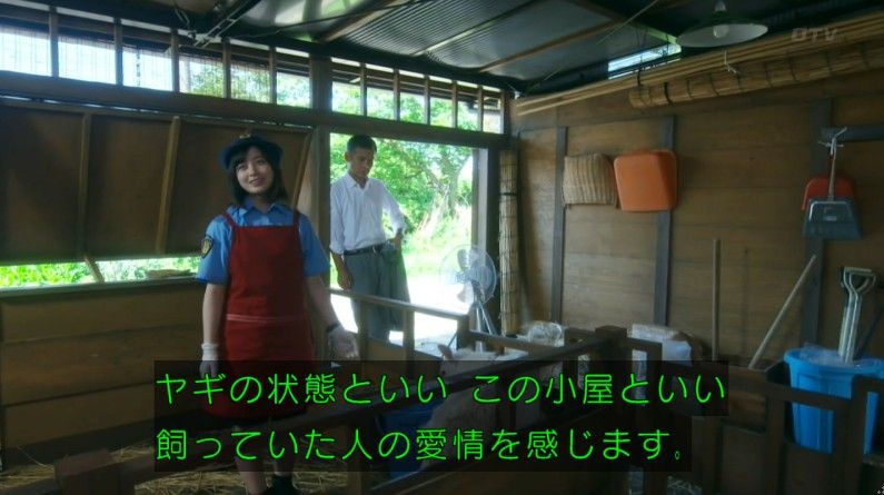 いきもの係 4話のキャプ251