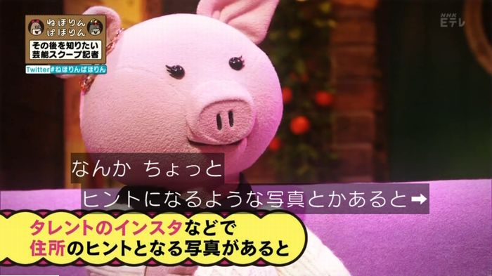 ねほりんぱほりんのキャプ499