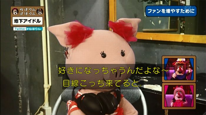 ねほりん 地下アイドル回のキャプ369