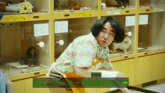 警視庁いきもの係 8話のキャプ386