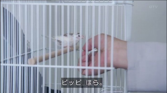 461