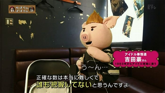 ねほりん 地下アイドル回のキャプ13
