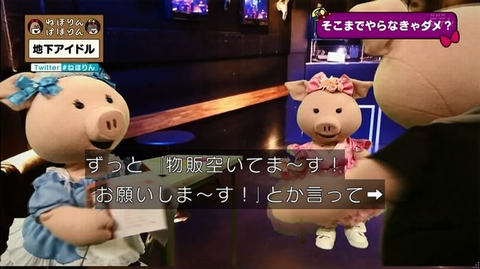 ねほりん 地下アイドル回のキャプ511