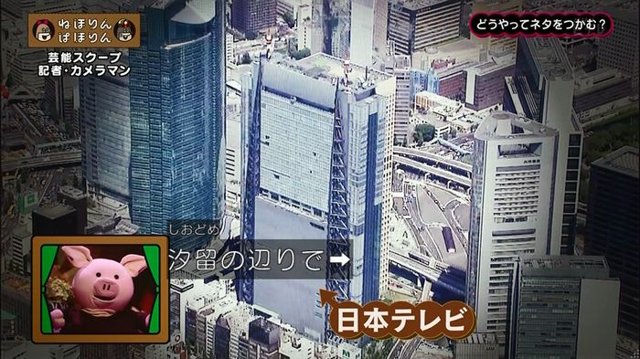 ねほりん 芸能スクープ回のキャプ32