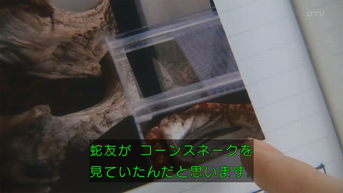 いきもの係 3話のキャプ255