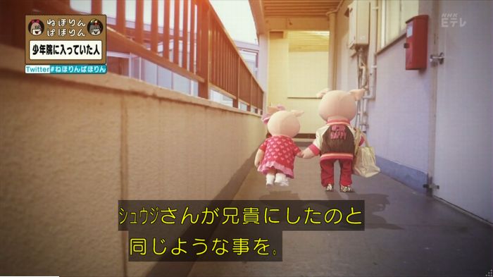 ねほりんぱほりんのキャプ384