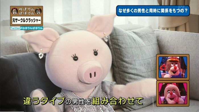 ねほりんぱほりん サークルクラッシャーのキャプ318