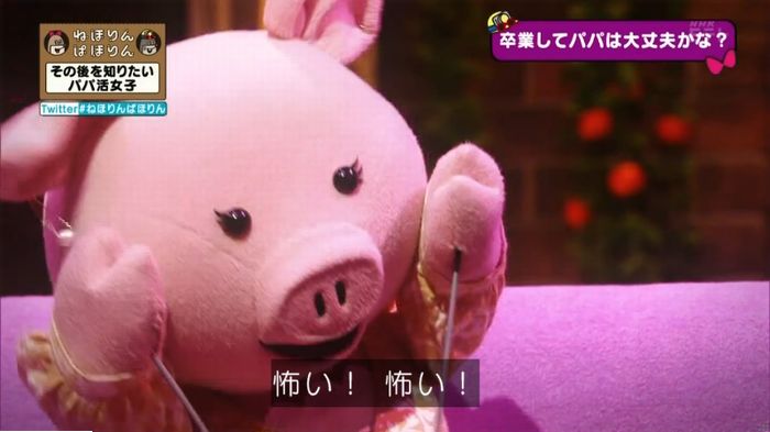 ねほりんぱほりんのキャプ179