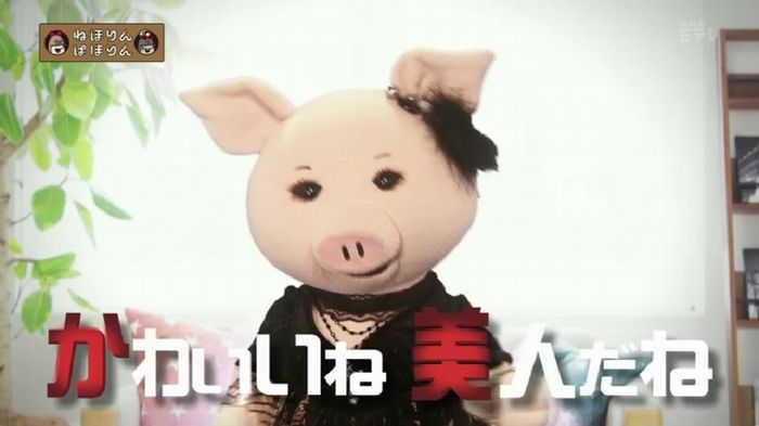 ねほりんぱほりんのキャプ11