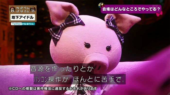 ねほりん 地下アイドル回のキャプ89
