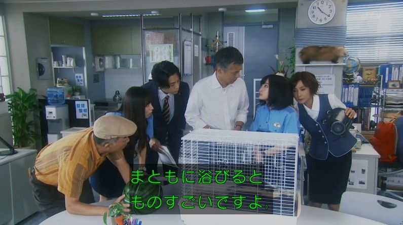 いきもの係 4話のキャプ107