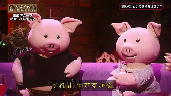 ねほりん 芸能スクープ回のキャプ284