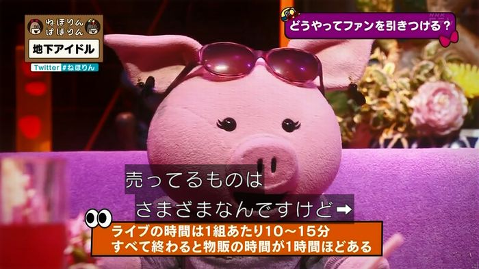 ねほりん 地下アイドル回のキャプ386