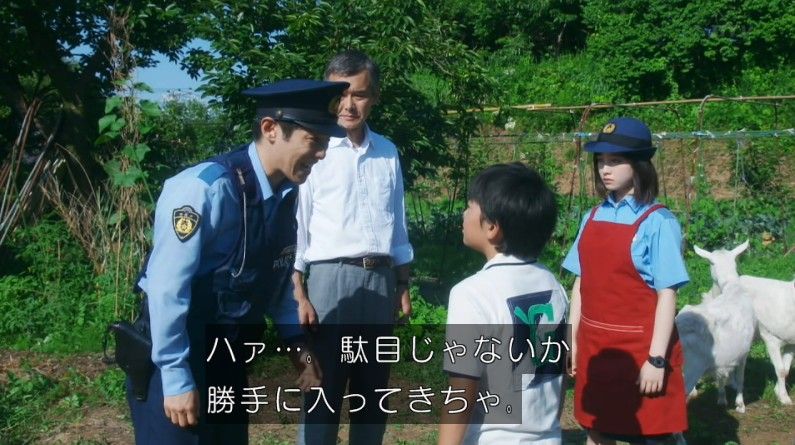いきもの係 4話のキャプ272