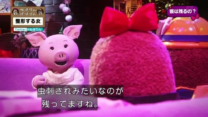 ねほりんぱほりんのキャプ73