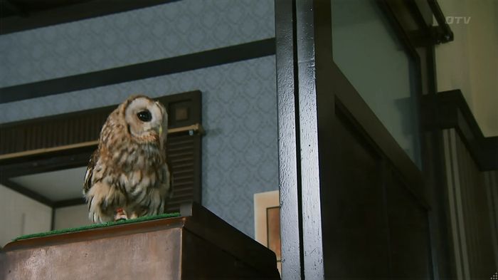 警視庁いきもの係 8話のキャプ204