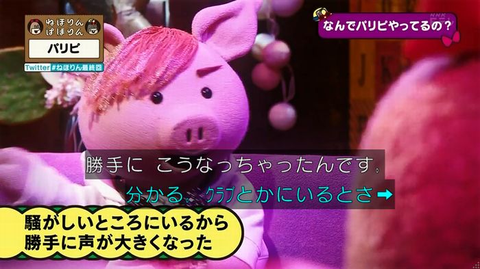 ねほりん 最終回のキャプ227