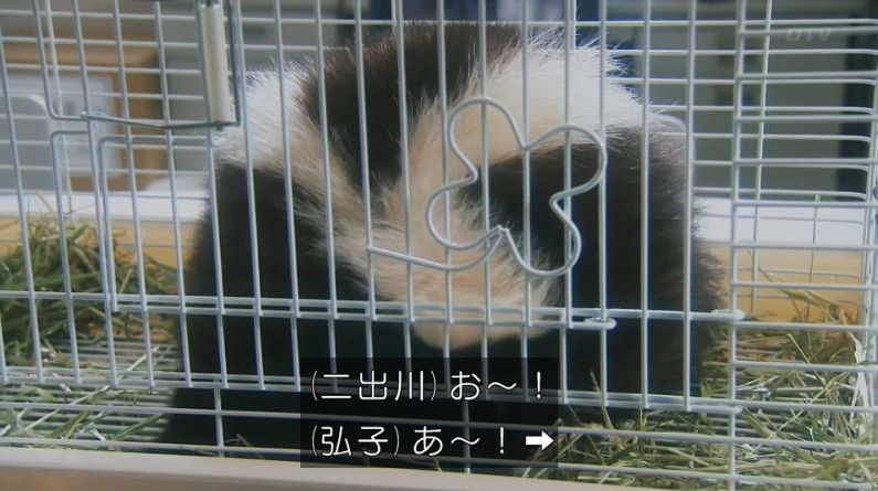 いきもの係 4話のキャプ123