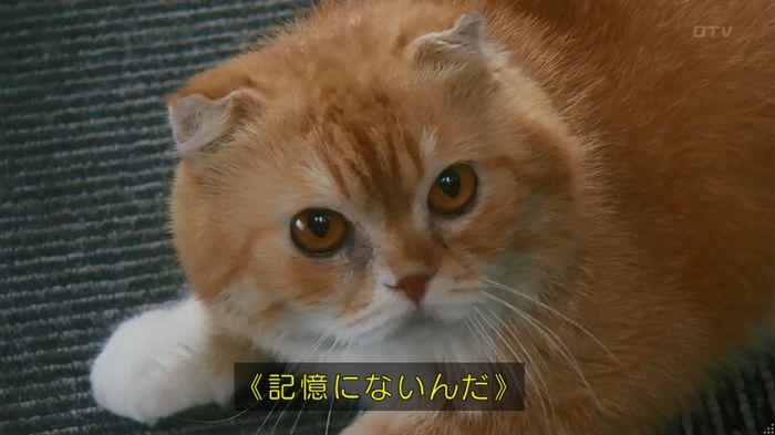 いきもの係 3話のキャプ57