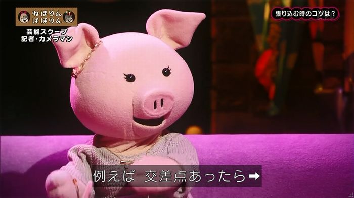 ねほりん 芸能スクープ回のキャプ142