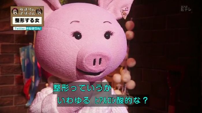 ねほりんぱほりんのキャプ39