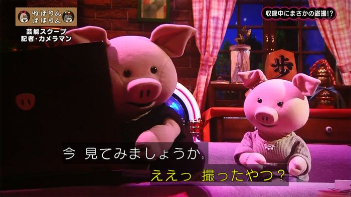 ねほりん 芸能スクープ回のキャプ223