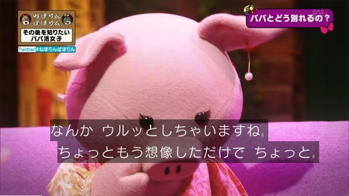 ねほりんぱほりんのキャプ223