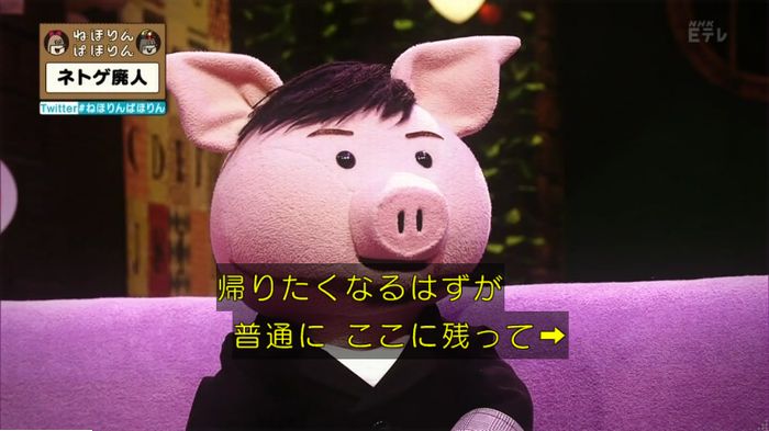 ねほりんネトゲ廃人のキャプ485