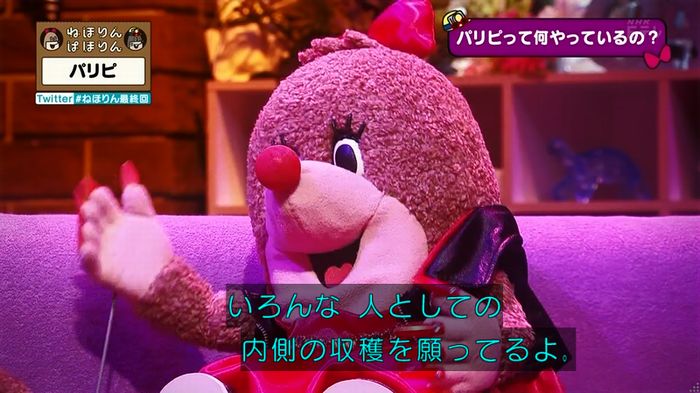 ねほりん 最終回のキャプ252