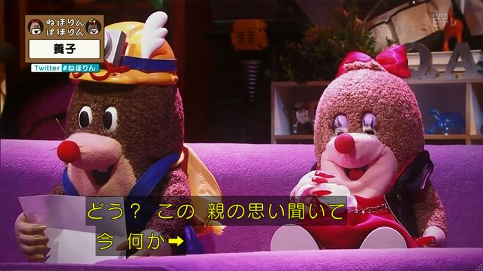 ねほりん 養子回のキャプ437