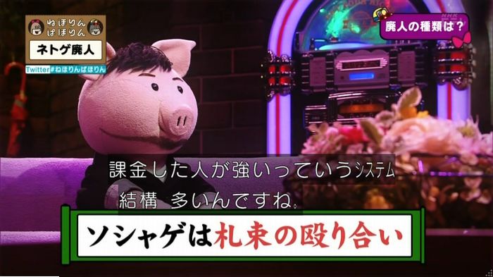ねほりんネトゲ廃人のキャプ41