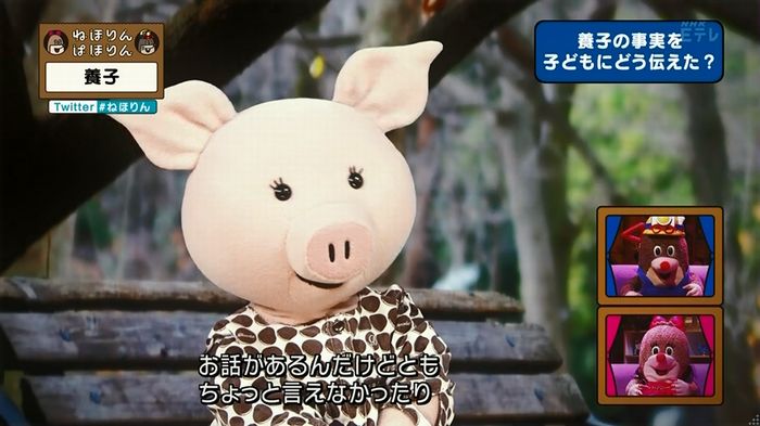 ねほりん 養子回のキャプ123