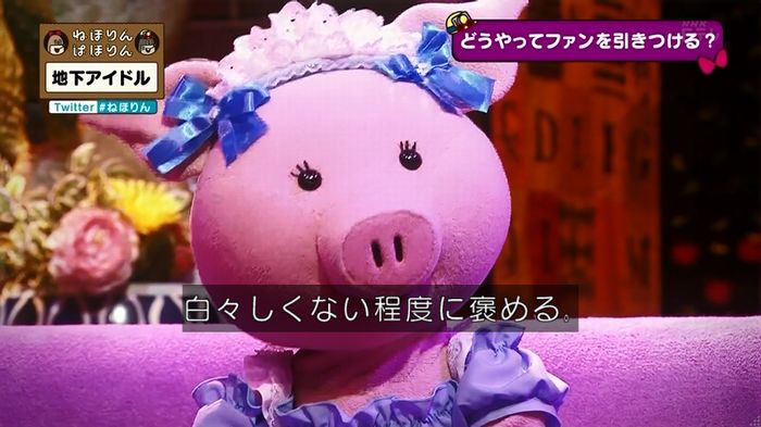ねほりん 地下アイドル回のキャプ432