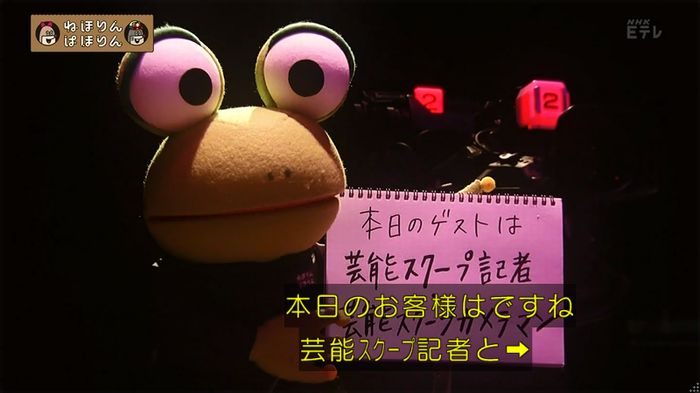 ねほりん 芸能スクープ回のキャプ4