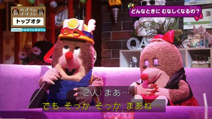 ねほりんぱほりんのキャプ384