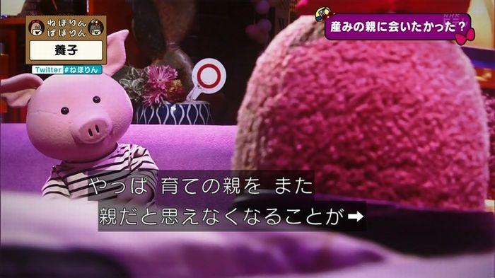 ねほりん 養子回のキャプ297