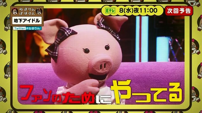 ねほりん 地下アイドル回のキャプ557