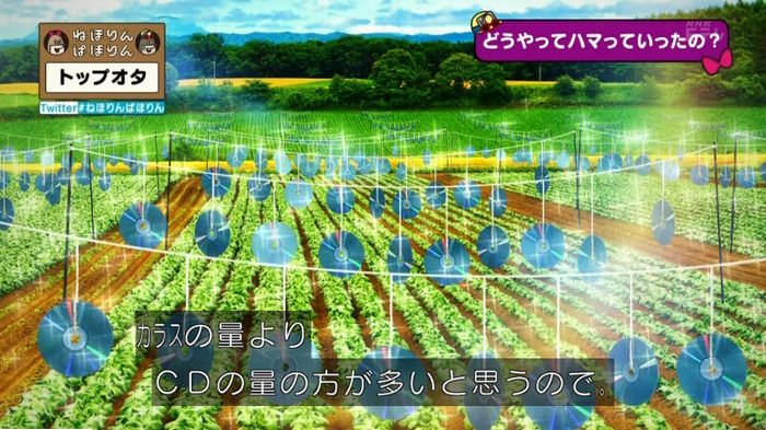 ねほりんぱほりんのキャプ143