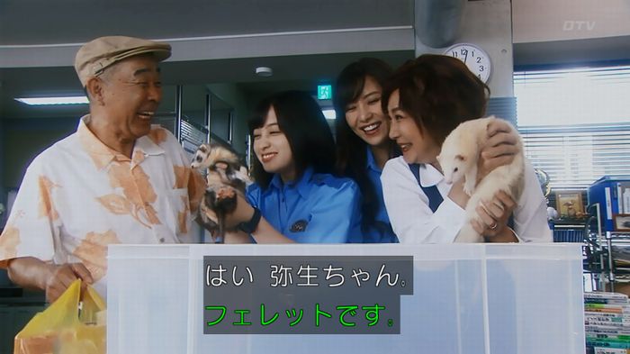 警視庁いきもの係 8話のキャプ49