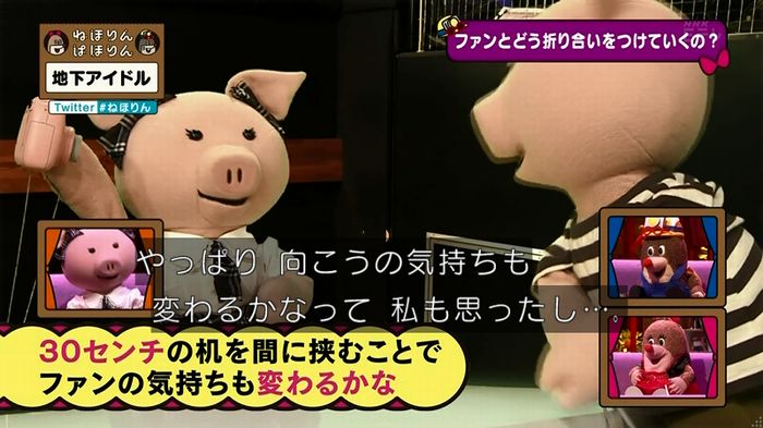 ねほりん 地下アイドル後編のキャプ262