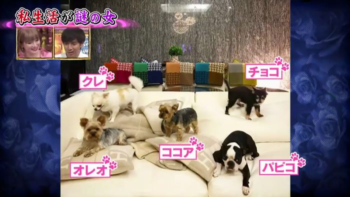 今夜くらべてみましたのキャプ248