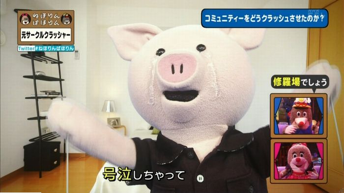 ねほりんぱほりん サークルクラッシャーのキャプ114